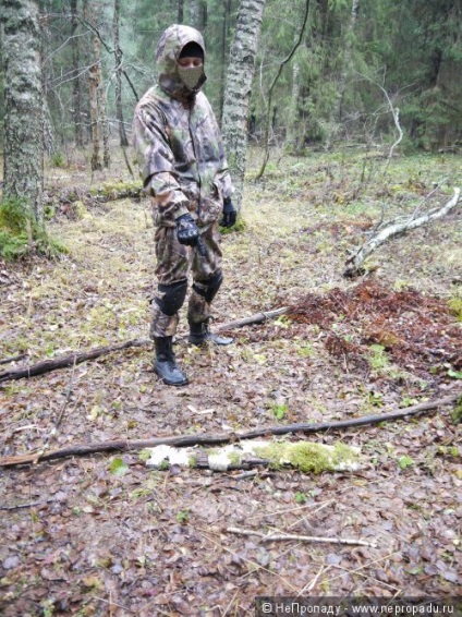 Cache, vagy az átmeneti megőrzési nychka