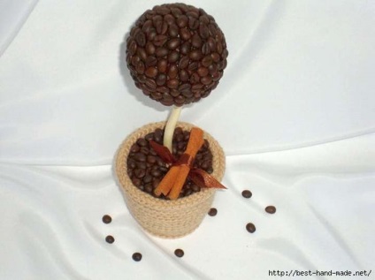Műkertészeti kávébab kezét fotó mesterkurzus, hogyan lehet egy repülő csésze, video szív