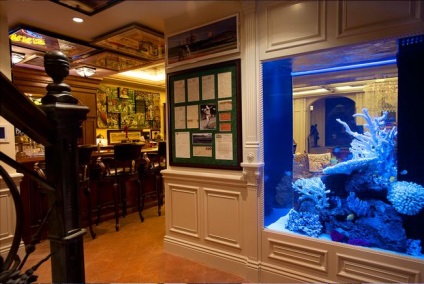 Állvány akvárium, hogyan kell helyesen elhelyezni a hazai víz alatti világ