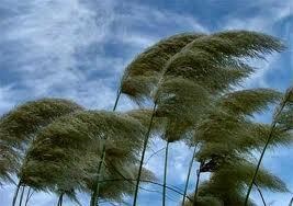 Wind - eltöprengett tudomány (szél) Wind - gondolkoztak tudomány