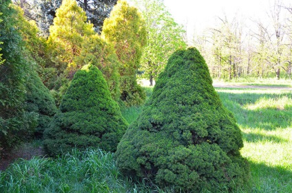 Felbecsülhetetlen ötletek egy utat a park Askania-Nova