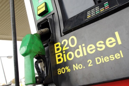 A bioüzemanyagok saját kezébe - a trágyából, és nem csak a kandallók, üvegházak és a járművek