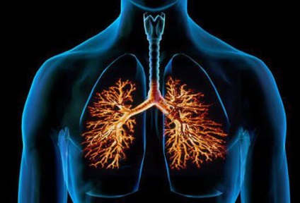 A hörgő lélegzetet típusú és alakú kóros légzési