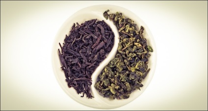 Mi a különbség a zöld tea és fekete tea hasznos