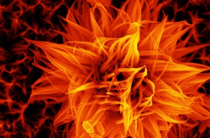 Mi a nanotechnológia és mit lehet high-tech és a fejlett a hírt (legyen) Mi a nanotechnológia és mit lehet high-tech és a fejlett a hírekben