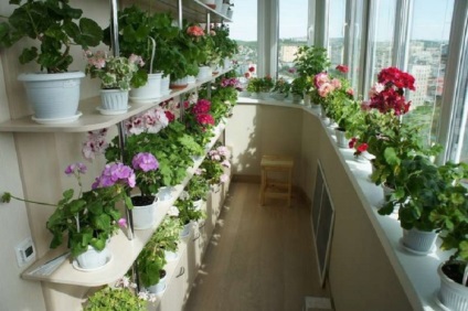 Virágok az erkélyen design fotó