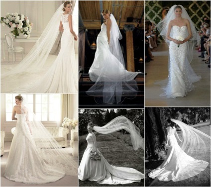 A hosszú fátyol menyasszony -, amelyek néhány ruha és hajviselet egyesítjük, fotók