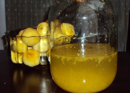 Házi citrom likőr receptek, hogyan lehet egy citrom likőr otthon