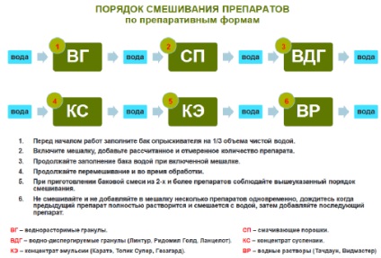 Phase „bokrosodás - indítás» Syngenta