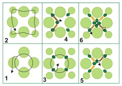 Ábrákon Bead szövése diagramok, ls (fonása) Ábrákon Bead szövése diagramok, ls