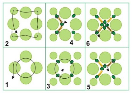 Ábrákon Bead szövése diagramok, ls