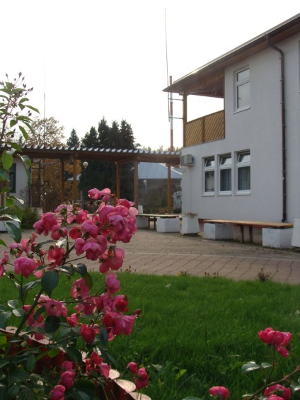 Branch, St DGKB (patológia mozgásszervi) Branch, St DGKB