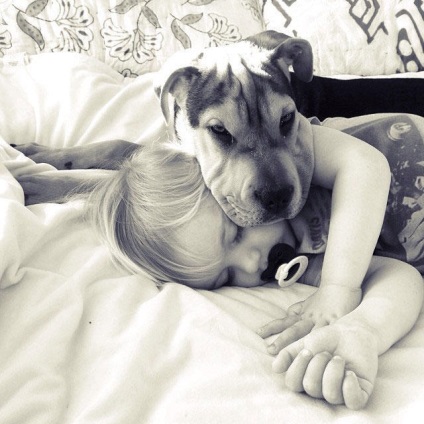 Fényképek alszik fiú egy kutya elfoglalta az interneten, a társadalom, a Kijev-szor