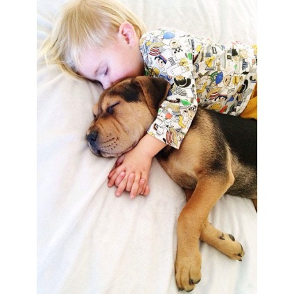 Fényképek alszik fiú egy kutya elfoglalta az interneten, a társadalom, a Kijev-szor
