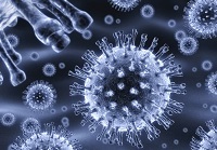 Herpes lábon tünetek és a kezelés (tünetek) Herpes lábon tünetek és a kezelés