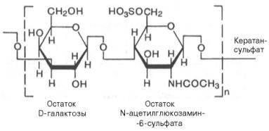 Glükózaminoglikánok (mukopoliszacharidok)