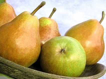 Pear hasznos tulajdonságokat és ellenjavallatok