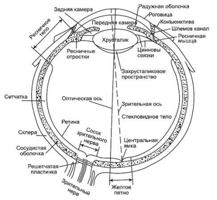 Igor Medvedev - tudomány - a szemét, amikor a visszatérő éberség