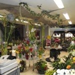 Інтер'єр квіткового магазину - 39 фото для натхнення
