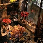 Інтер'єр квіткового магазину - 39 фото для натхнення