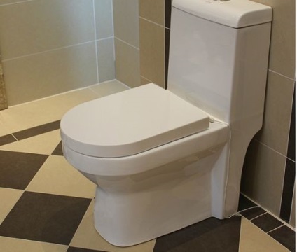 Mi van a WC-csészében és ciszterna fotó készülék (WC) Mi van a WC-tartályban és fényképezőgépekhez