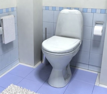 Mi van a WC-csészében és ciszterna fotó készülék (áll) Mi van a WC-tartályban és fényképezőgépekhez