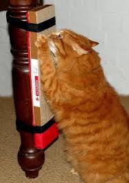 Hogyan elválaszt macska élezés karmok, vörös macska