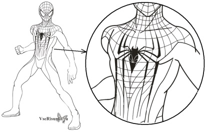 Hogyan kell felhívni a Spider-Man ceruza fokozatosan