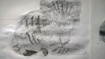 Hogyan kell felhívni a cica fokozatosan akvarell gyermekek 8 éves