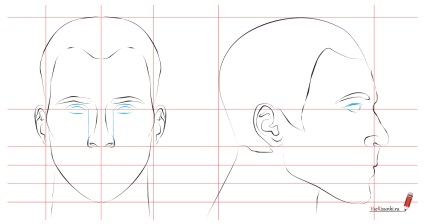 Hogyan kell felhívni az arcát egy férfi egy ceruzát szakaszokban