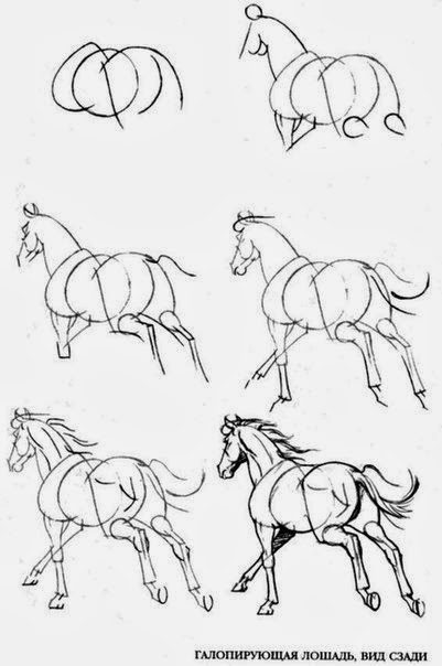 Hogyan kell felhívni a ló lépésről lépésre, növekedni és fejlődni együtt az anyám! (Draw) Hogyan kell felhívni a ló lépésről lépésre, növekedni és fejlődni együtt az anyám!
