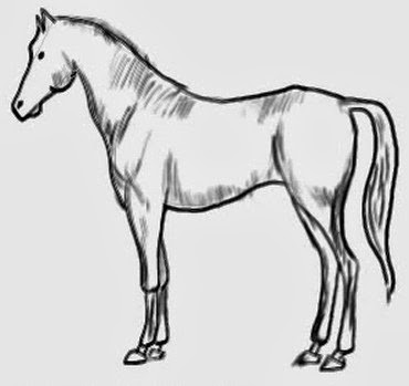 Hogyan kell felhívni a ló lépésről lépésre, növekedni és fejlődni együtt az anyám! (Draw) Hogyan kell felhívni a ló lépésről lépésre, növekedni és fejlődni együtt az anyám!