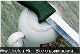 Hogyan hegyezni késélező ingyenes! (Élezése kés) Hogyan hegyezni késélező ingyenes!