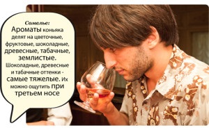 Mi a neve egy pohár brandy (Bohemian üveg, fűthető, fotó) (fűtött) Mi a neve egy pohár brandy (Bohemian üveg, fűthető, fotó)