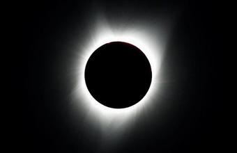 Hogyan csalnak a munkáltató (társaság) Hogyan csalnak a munkáltató