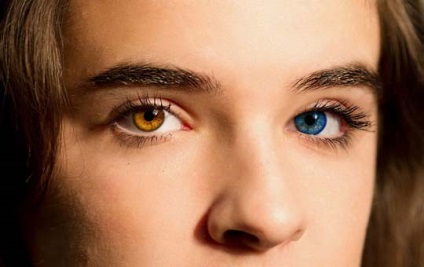 Mi a szem színét határozza meg a karakter egy ember az ő szeme színe