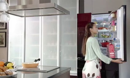 Mi a jobb, hogy válasszon egy hűtőszekrényben otthoni videó