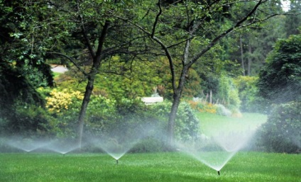 Hogyan, hogy a víz a kerti fák és cserjék, kertész (tanya)