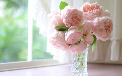 Hogyan meghosszabbítani az életét virágok vázában