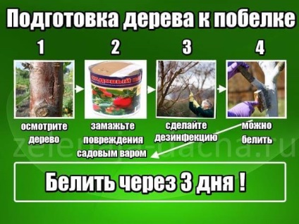 Ami mész feloldására hársfák jómódú falu (fák fehéríti) Ami mész feloldására hársfát jómódú falu