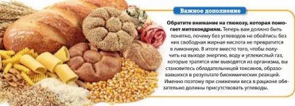 Zsírégetés, fogyás - 21. század (szabad zsírsavak) Hogyan éget zsírt, lefogy - 21. század