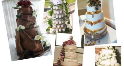 Hogyan válasszuk ki a hasznos torta (lehet választani) Hogyan válasszuk ki a hasznos torta