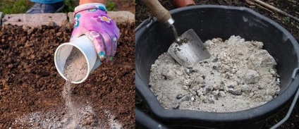 Hogyan védi a padlizsán a burgonyabogár eszközök és készítmények ellen kártevő