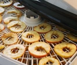 Hogyan száradni az almát az otthoni jobb módja