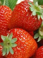 Miért álom egy ismerős személy (álom) Miért álom egy ismerős személy