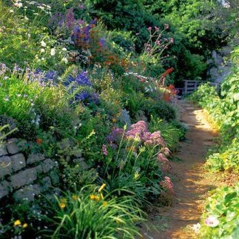 Gyönyörű kert, fotók - Trükkök kerttervezés saját nyaraló - egy könnyű dolog