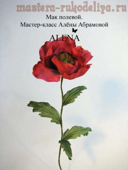 Mesterkurzus virágok szövet - a mezei pipacs (mák virágok készült ruhát kezével) Mesterkurzus virágok szövet - Poppy Field
