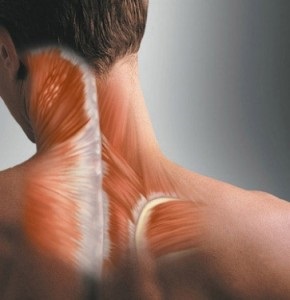 Kenőcs a nyaki degeneratív betegség lemez típusú és felhasználása