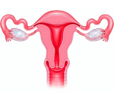 Menstruáció után gyógyszeres terhesség-megszakítás, amikor indult, és vissza ciklus
