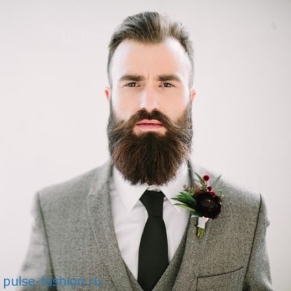 Divatos férfi szakálla 2017 impulzus divat